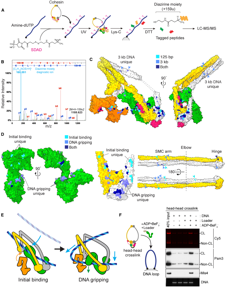 Figure 6