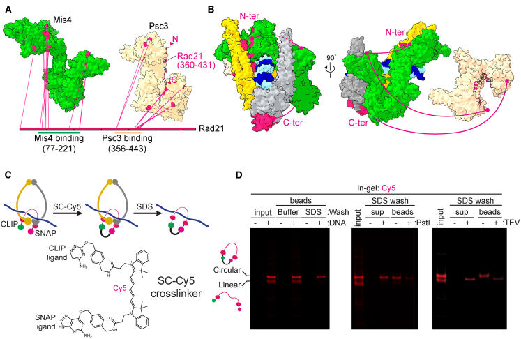 Figure 5