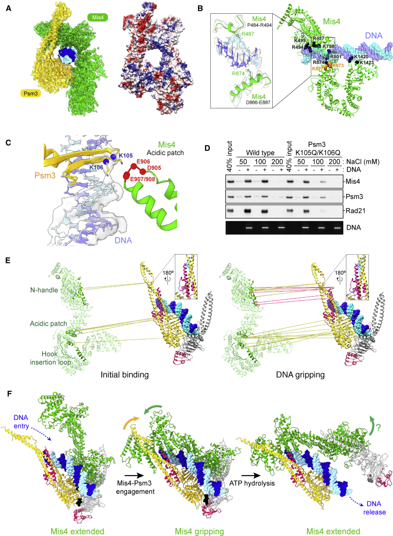 Figure 3