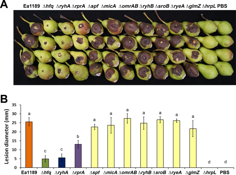 Fig 8