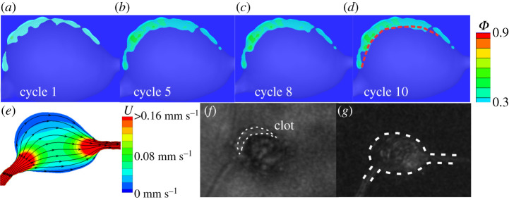 Figure 5.