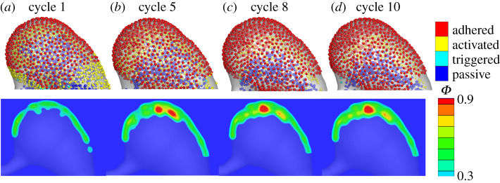 Figure 3.