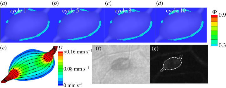 Figure 7.