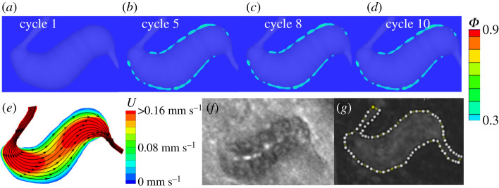 Figure 6.