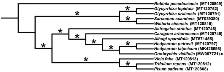 Figure 1.