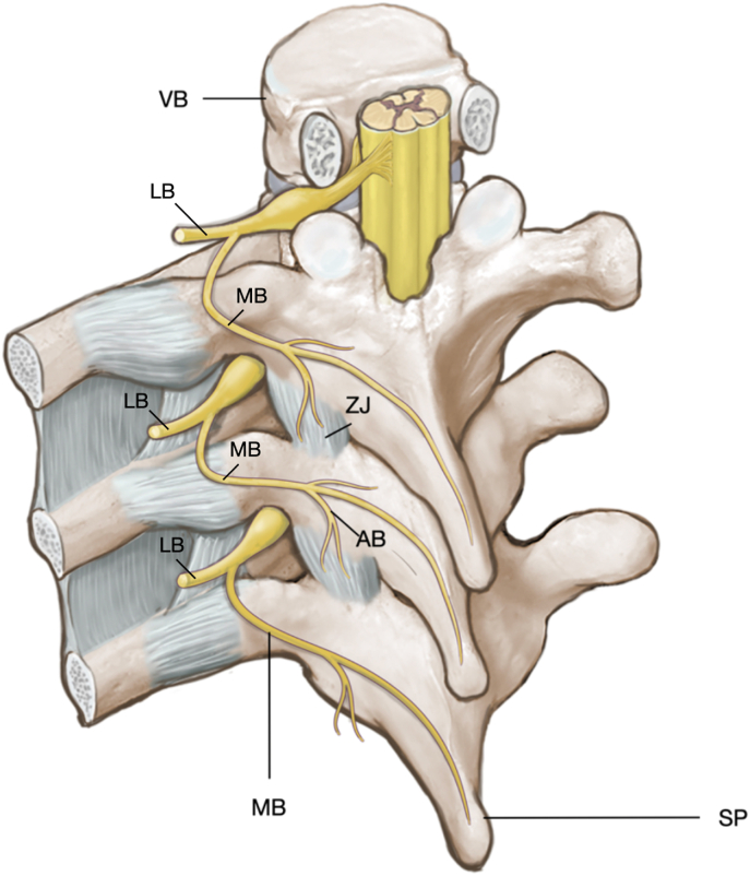 Fig. 1b