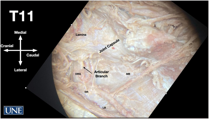 Fig. 2c