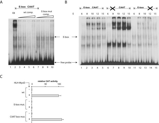 FIG. 7.