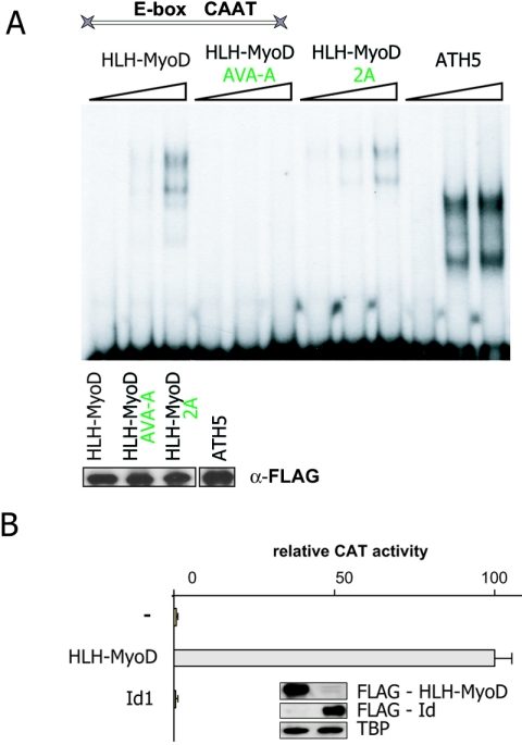 FIG. 6.