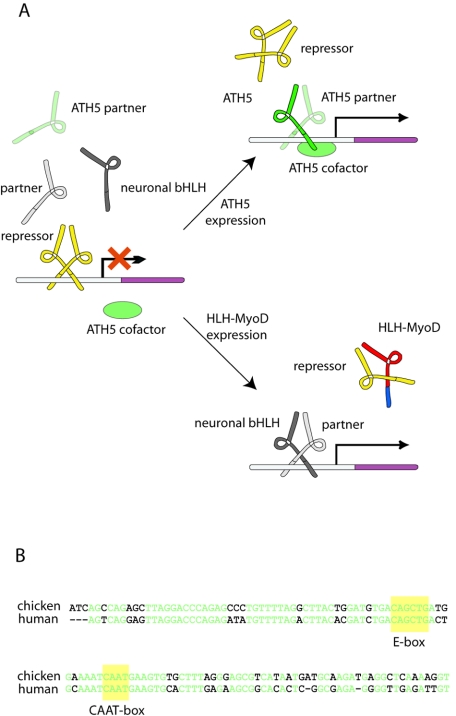 FIG. 8.