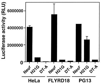 FIG. 6.