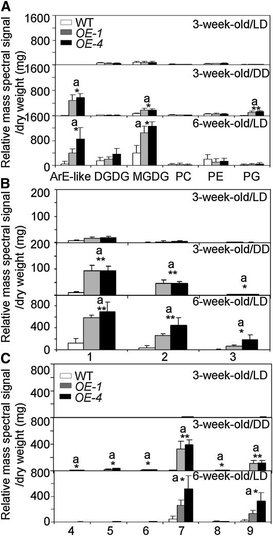 Figure 7.