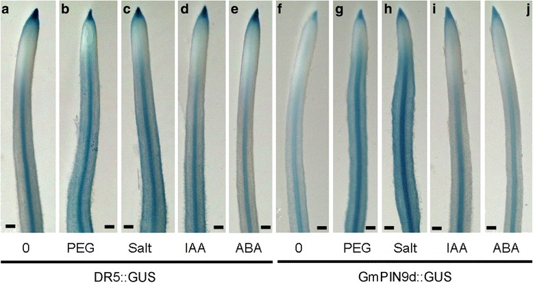 Fig. 9