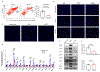 Extended Data Figure 5.