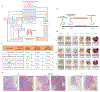 Extended Data Figure 2.