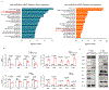 Extended Data Figure 7.