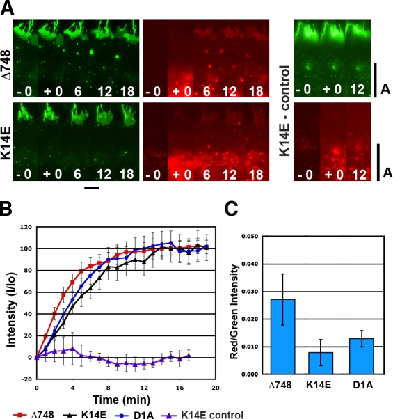 Figure 6.