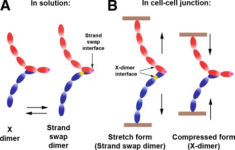 Figure 9.