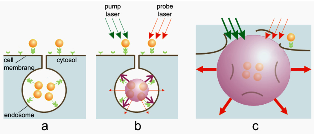 Figure 15