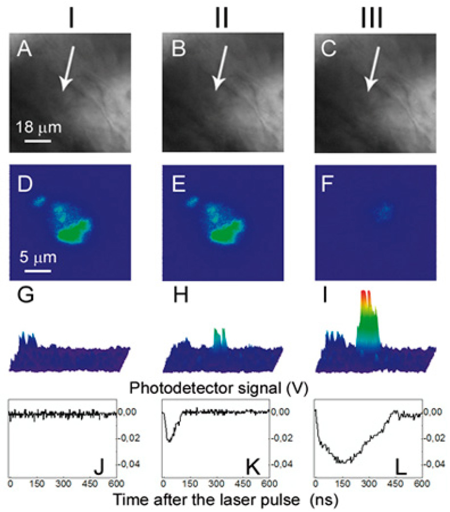 Figure 19