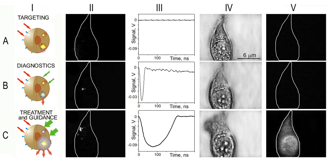 Figure 17