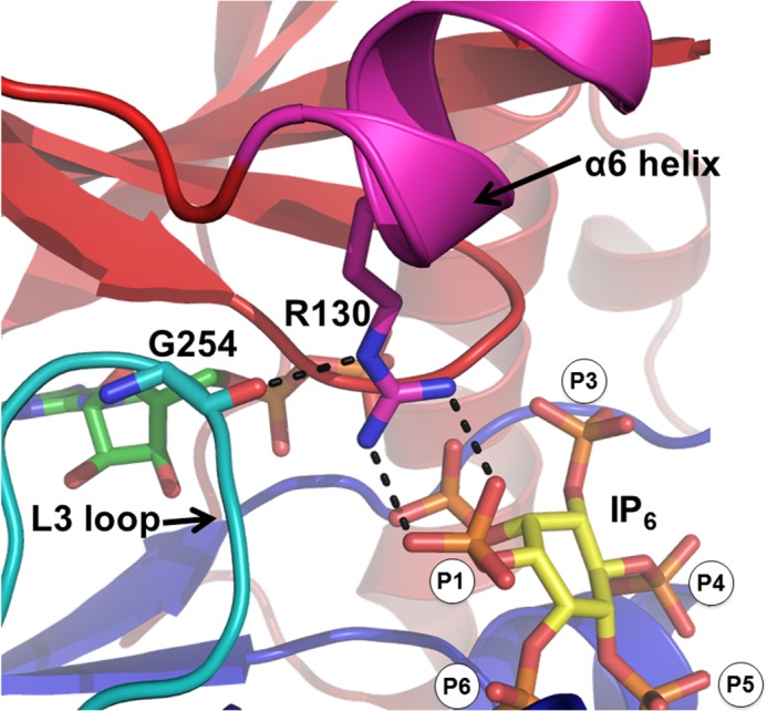 FIGURE 3.