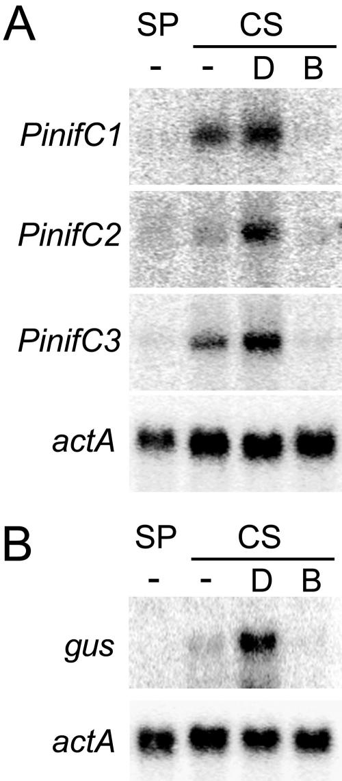 FIG. 7.