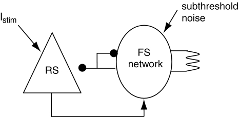 Fig. 7