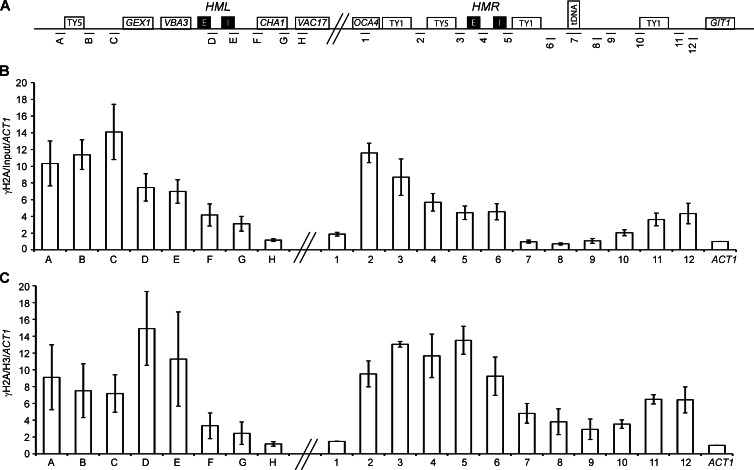 Figure 6.