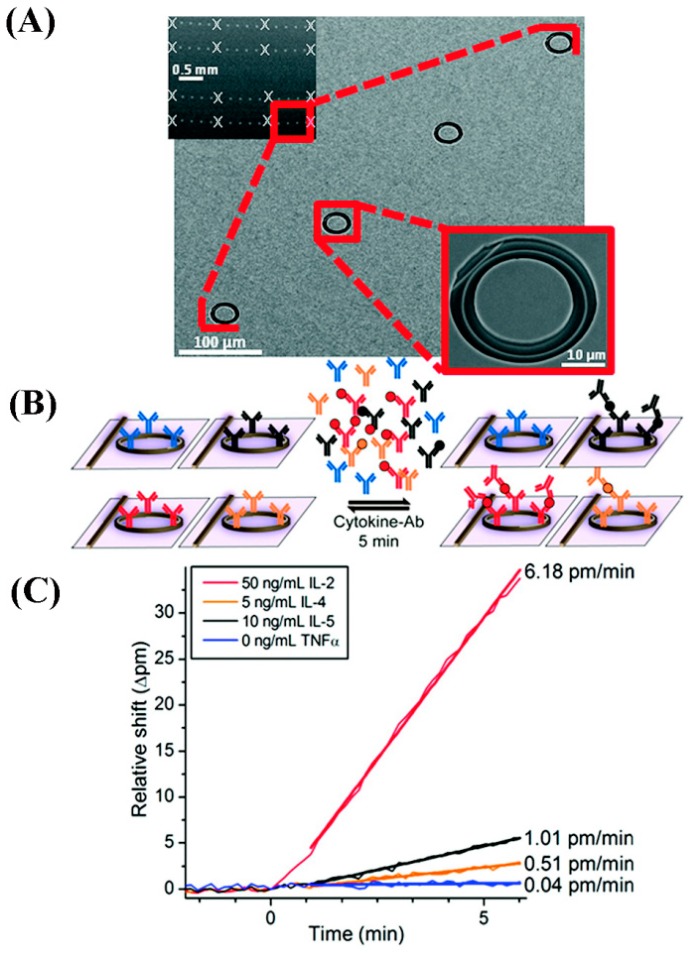 Figure 19