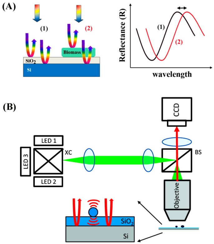 Figure 23