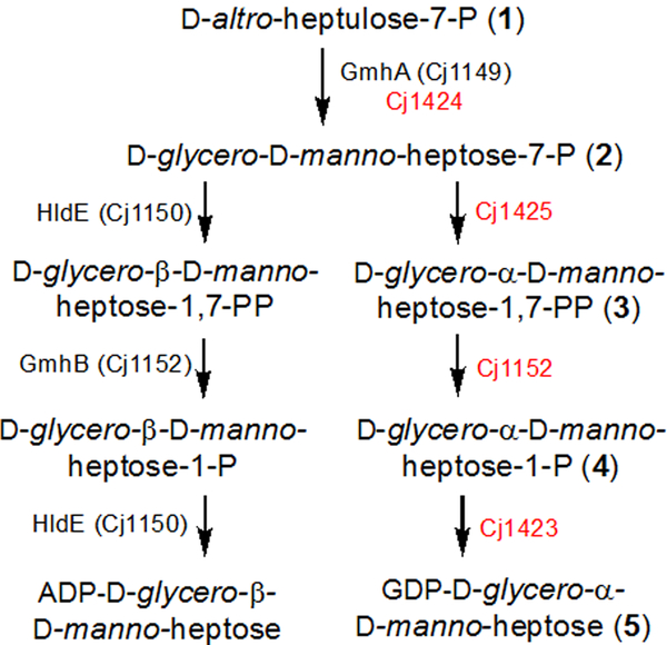 Scheme 2.