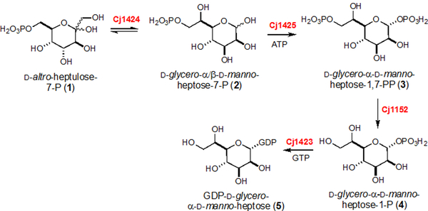 Scheme 3: