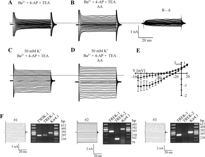 Figure 10.