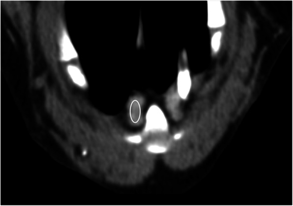 Fig. 5
