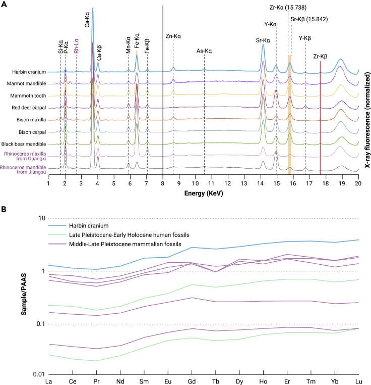 Figure 2