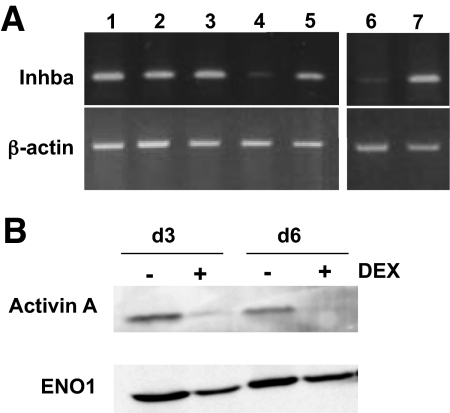 FIG. 6.