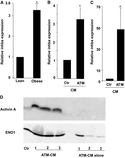 FIG. 7.