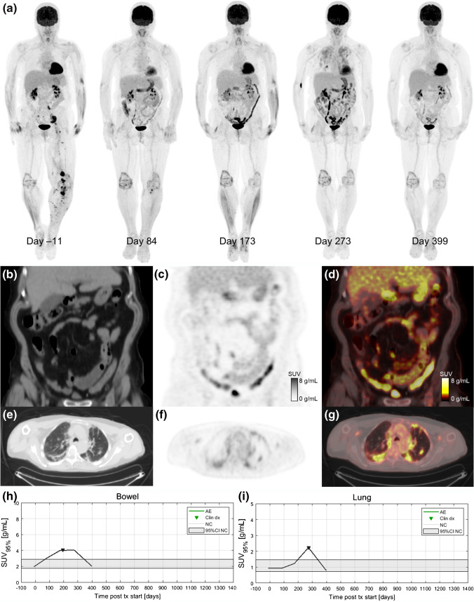 Fig. 6