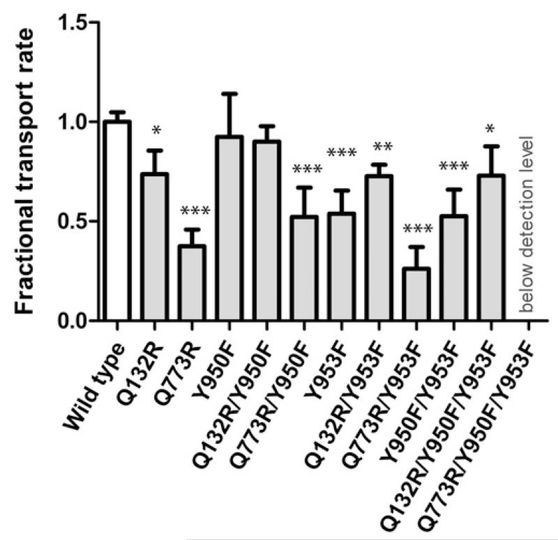 Fig. 2