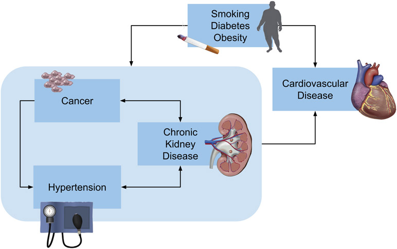 Central Illustration: