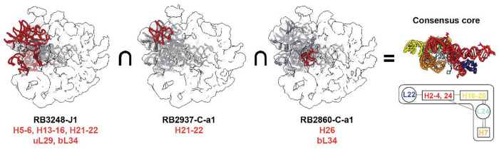 Fig.6