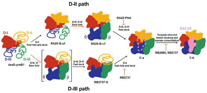 Fig.7