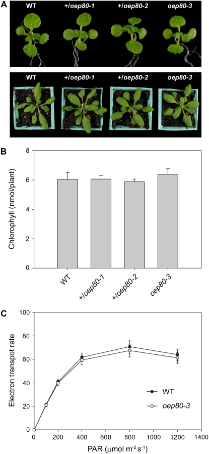 Figure 3.