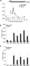 FIG. 6.