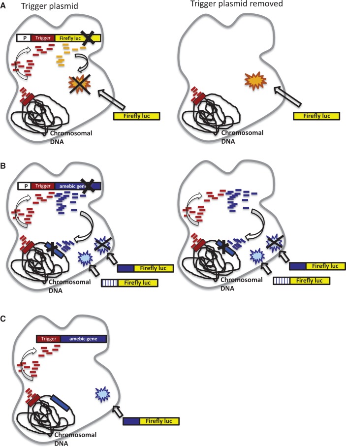 Figure 7.