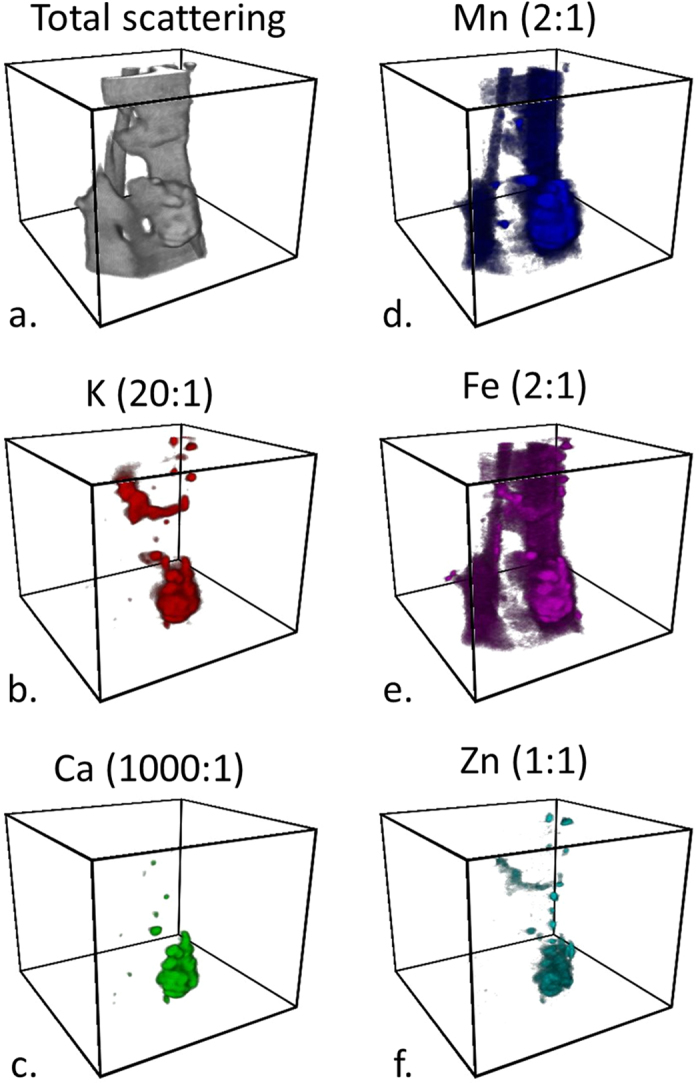 Figure 7