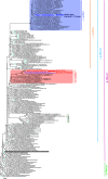 FIG 1