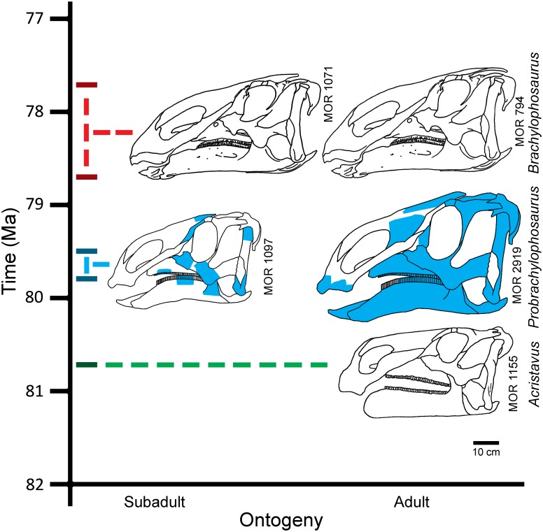 Fig 29