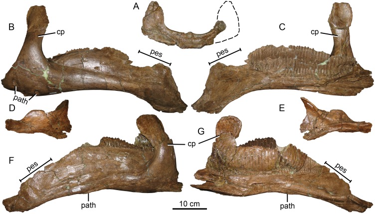 Fig 16